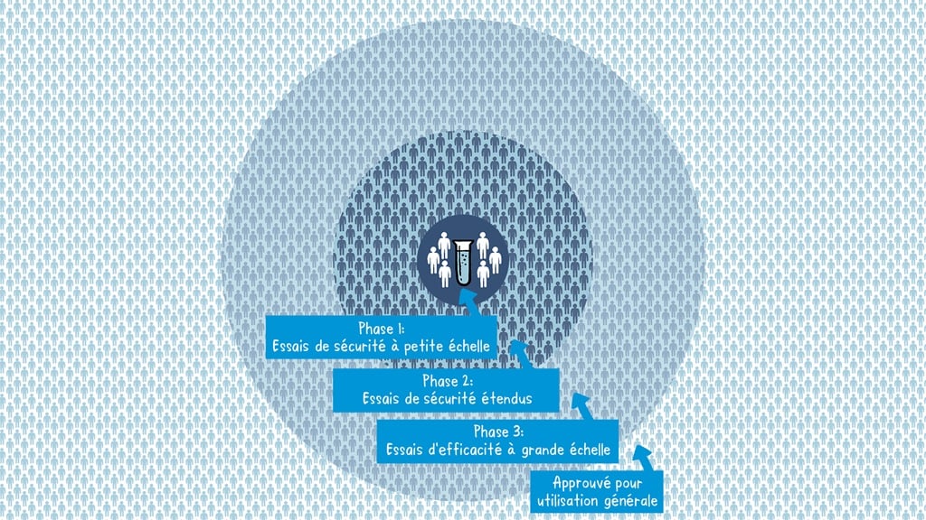 Illustration sur les différentes étapes du développement d'un vaccin